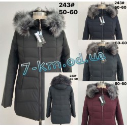 Куртка женская ZeL1365243 холлофайбер 6 шт (50-60 р)
