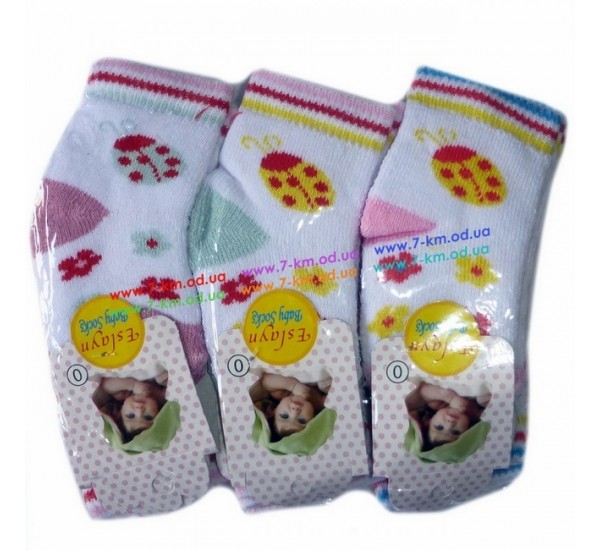 Носки для младенцев Vit0072a махра 12 шт (0-12 мес)