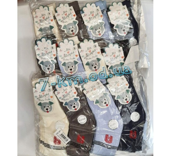 Шкарпетки для хлопчиків NvS201003 махра 12 шт