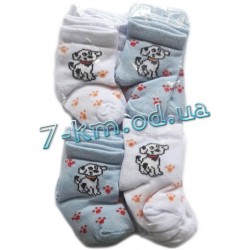 Шкарпетки для немовлят Vit0703e коттон 12 шт (0-3 міс)
