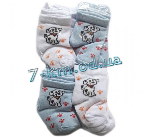 Шкарпетки для немовлят Vit0703e коттон 12 шт (0-3 міс)