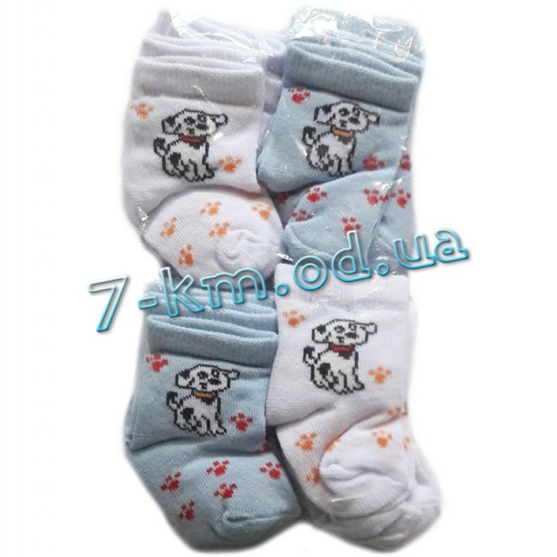 Шкарпетки для немовлят Vit0703e коттон 12 шт (0-3 міс)