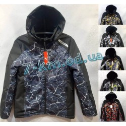 Куртка мужская DLD_230154 синтепон 5 шт (48-56 р)