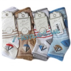 Шкарпетки для хлопчиків Vit0037d бавовна 12 шт (1-2 роки)