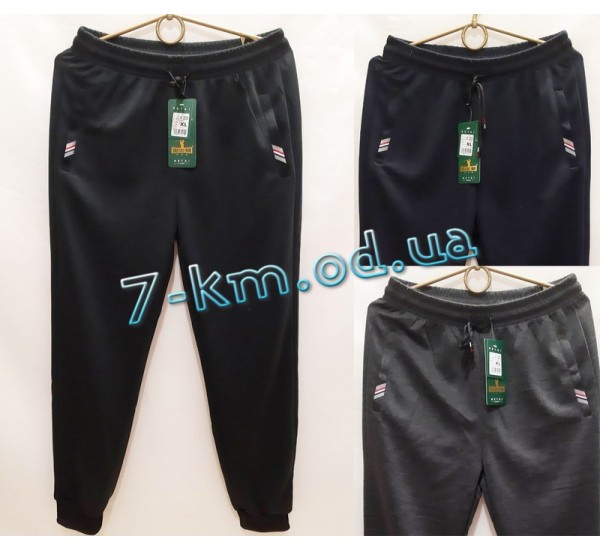 Спорт штани чоловічі DLD_160110 трикотаж 5 шт (XL-5XL)