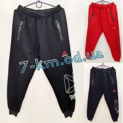 Спортивные штаны мужские DLD290717 трикотаж 5 шт (48-56 р)