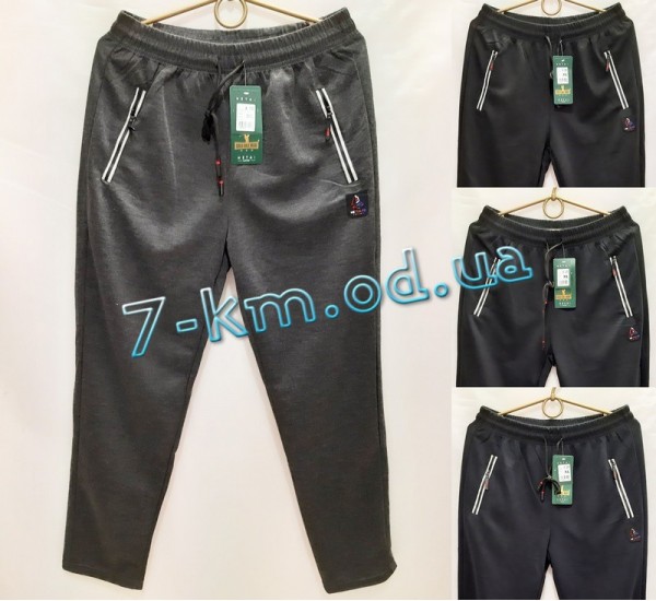 Спорт чоловічі штани DLD_160107 трикотаж 5 шт (XL-5XL)