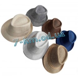 Шляпа мужская VeT80351 коттон 5 шт (58 см)