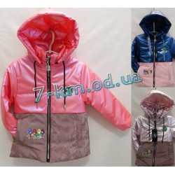 Куртка для девочек DLD_100151 синтепон 5 шт (3-6 лет)