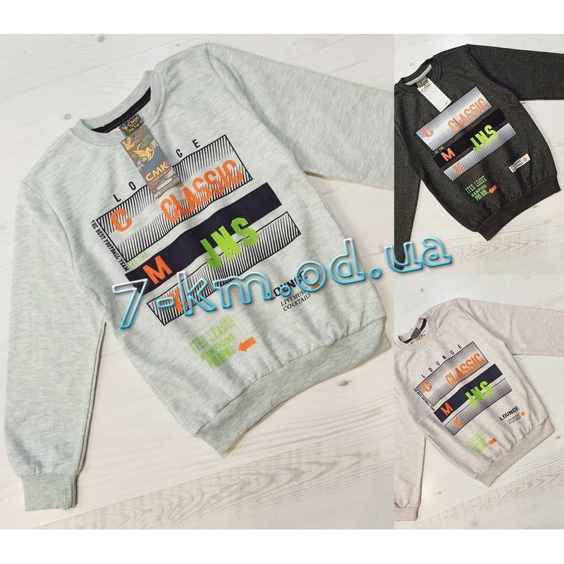 Батник для мальчиков MiLi_13620 трёхнить/начёс 5 шт (3-7 лет)