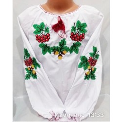 Блуза-вишиванка для дівчаток 5 шт (7-11 років) паплін VhV_193087