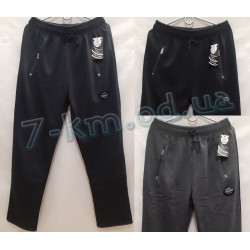 Спорт штани чоловічі DLD_021109 трикотаж/фліс 5 шт (3XL-7XL)