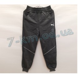 Спорт штани для хлопчиків DLD_080818 трикотаж 5 шт (6-11 років)