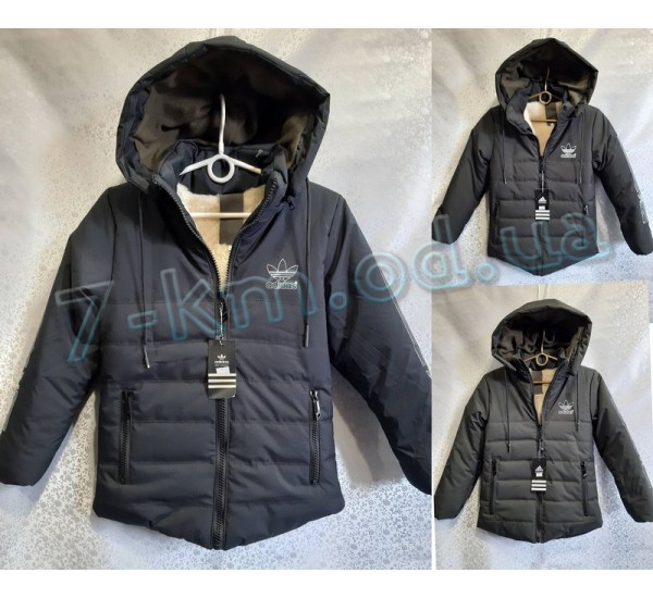 Куртка для мальчиков DLD_160902 синтепон/мех 5 шт (36-44 р)
