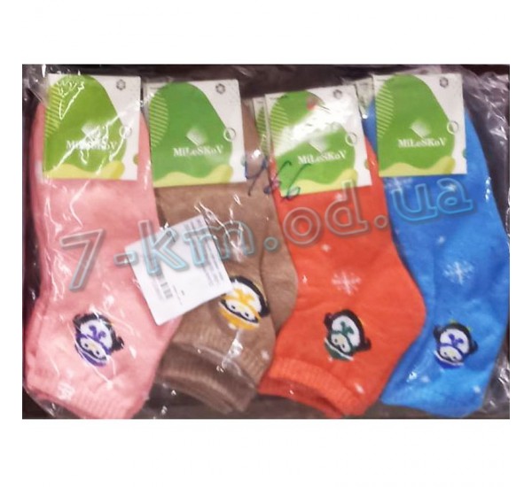 Шкарпетки для дівчаток HR1810_290106 махра 12 шт (26-30, 31-35 р)