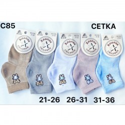 Шкарпетки для хлопчиків KiE_C85 бавовна 36 шт (21-36 р)