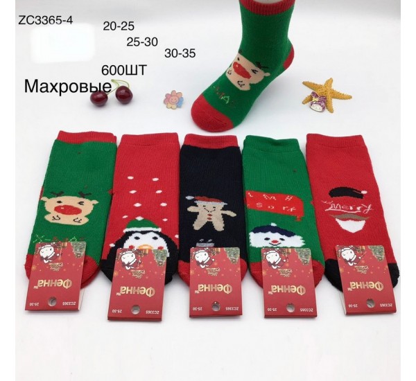 Шкарпетки для дівчаток 10 шт (20-35 р) махра KiE_ZC3365-4