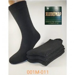 Шкарпетки чоловічі 12 шт (41-45 р) термо KiE_001M-011