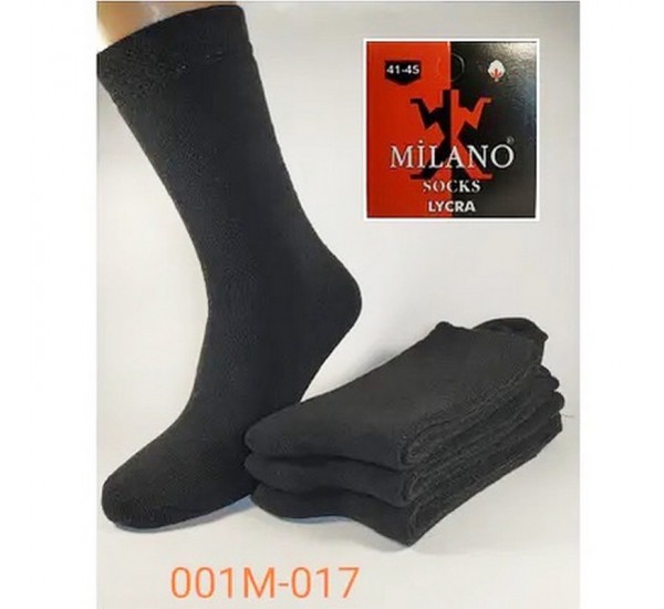 Шкарпетки чоловічі 12 шт (41-45 р) термо KiE_001M-017