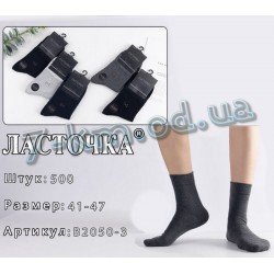 Шкарпетки чоловічі KiE_B2050-3 бавовна 10 шт (41-47 р)