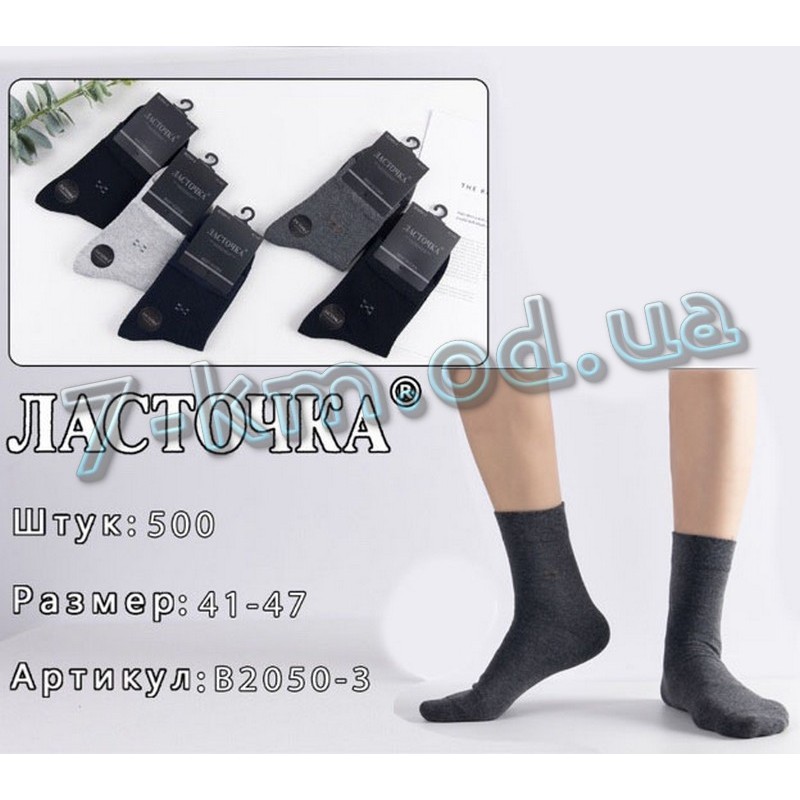Шкарпетки чоловічі KiE_B2050-3 бавовна 10 шт (41-47 р)