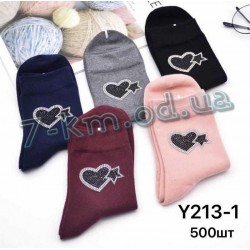 Шкарпетки жіночі KiE_Y213-1 бавовна 10 шт (37-41 р)