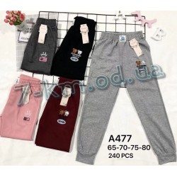Спорт штани для дівчаток KiE_A477 бавовна 12 шт (65-80 см)