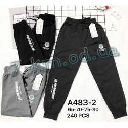 Спорт штани для хлопчиків KiE_A483-2 бавовна 12 шт (65-80 см)