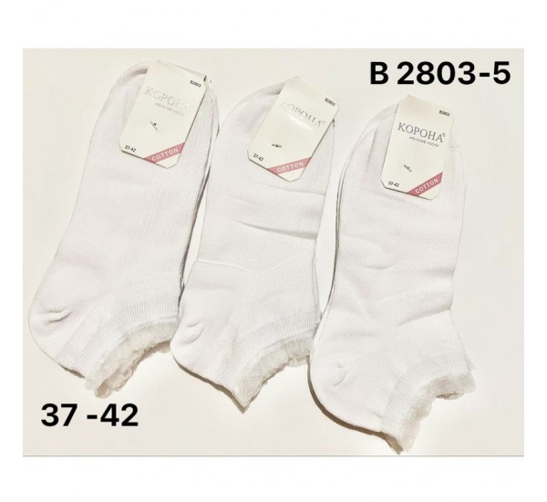 Шкарпетки жіночі KiE_B2803-5 бавовна 10 шт (37-42 р)