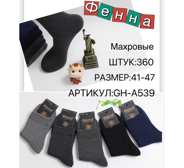 Шкарпетки чоловічі 10 шт (41-47 р) махра KiE_A539