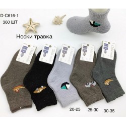 Шкарпетки для хлопчиків KiE_D-C616-1 травка 10 шт (20-35 р)