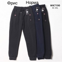 Спорт штаны мужские на флисе 5 шт (M-3XL) LaM_WK7190
