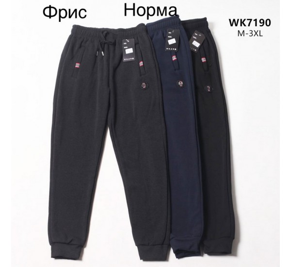 Спорт штаны мужские на флисе 5 шт (M-3XL) LaM_WK7190