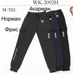 Спорт штаны мужские на флисе 5 шт (M-3XL) LaM_WK-2092H