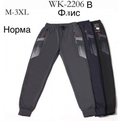Спорт штаны мужские на флисе 5 шт (M-3XL) LaM_WK-2206B