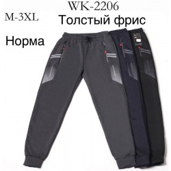 Спорт штаны мужские на флисе 5 шт (M-3XL) LaM_WK-2206