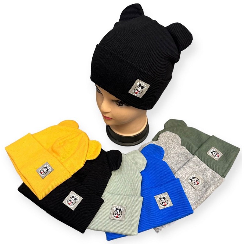 Шапка для хлопчиків (50-52 р) 5 шт подвійна рубчик ML903_021038