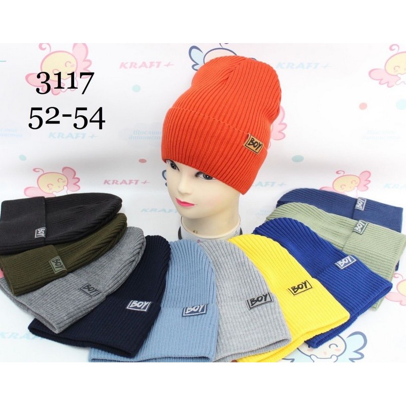 Шапка для мальчиков 5 шт (52-54 р) одинарная ML903_3117