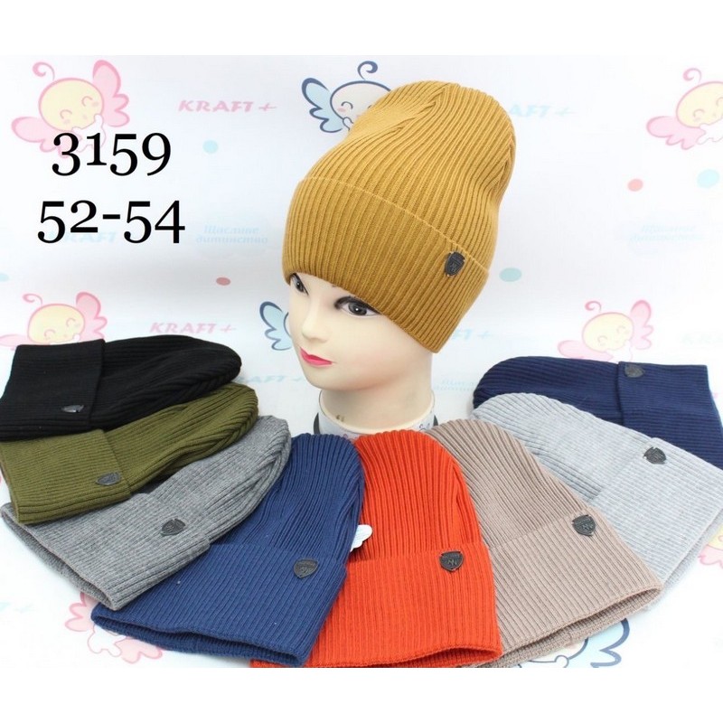 Шапка для мальчиков 5 шт (52-54 р) одинарная ML903_3159