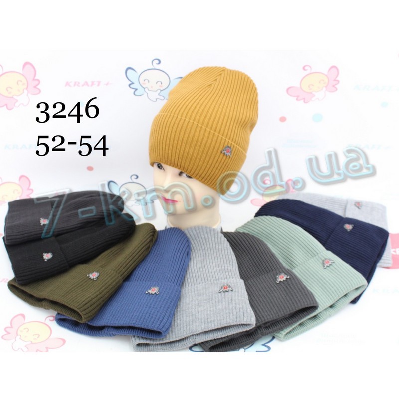 Шапка для хлопчиків ML903_3246 фліс 5 шт (52-54 р)
