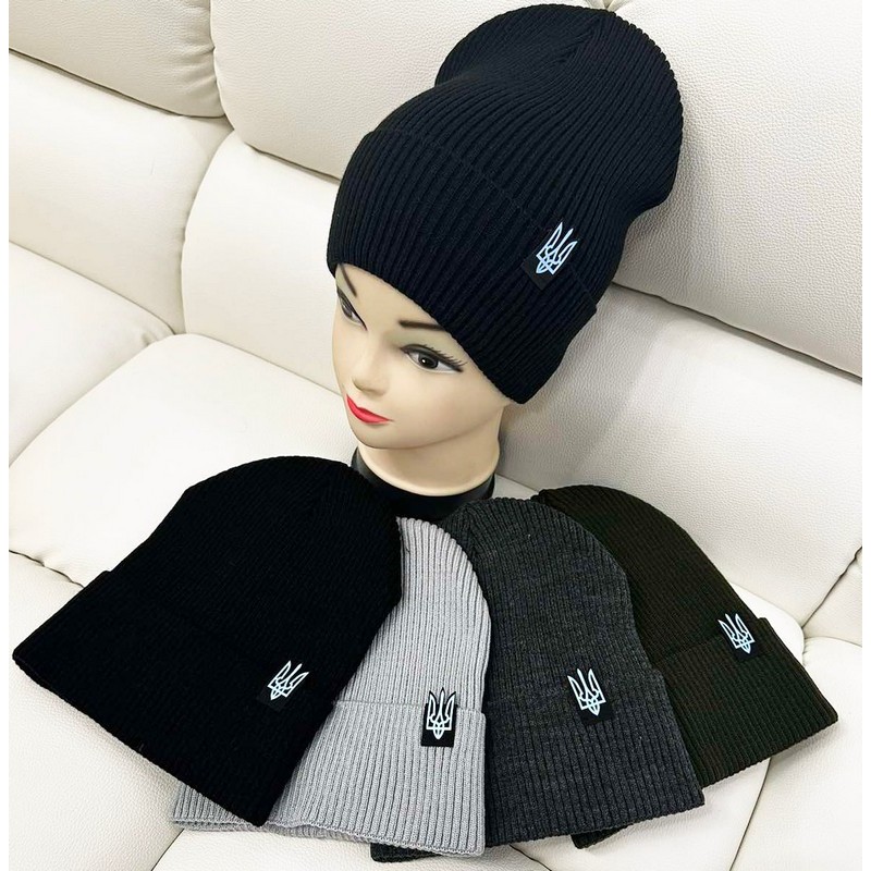 Шапка чоловіча 5 шт в'язка/фліс ML903_191160