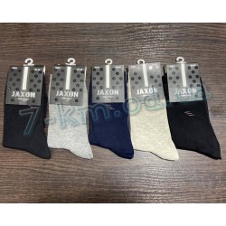 Шкарпетки чоловічі MuK_X001 бавовна 10 шт (40-45 р)