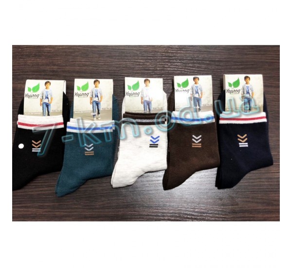 Шкарпетки для хлопчиків MuK_0206 бавовна 10 шт (34-38 р)