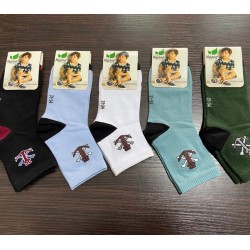Шкарпетки для хлопчиків MuK_0213 бавовна 10 шт (31-34 р)