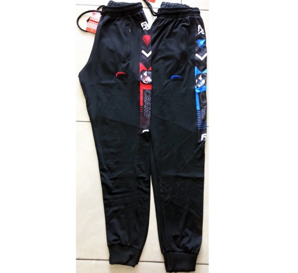 Спорт штани чоловічі 5 шт (S-2XL) еластик SaH_080802
