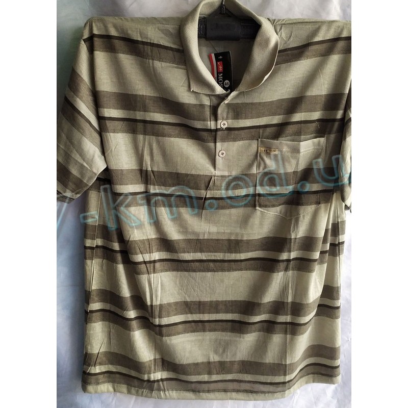 Футболка чоловіча SeM_260616 коттон 6 шт (5-8XL)