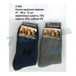 Шкарпетки чоловічі SHR_A606a вовна 12 шт (41-48 р)