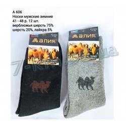 Шкарпетки чоловічі SHR_A606b вовна 12 шт (41-48 р)
