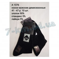 Шкарпетки чоловічі SHR_A1376 бавовна 10 шт (41-47 р)