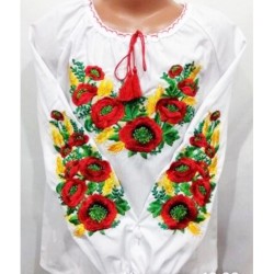 Блуза-вишиванка для дівчаток 5 шт (122-146 см) паплін VhV_0303